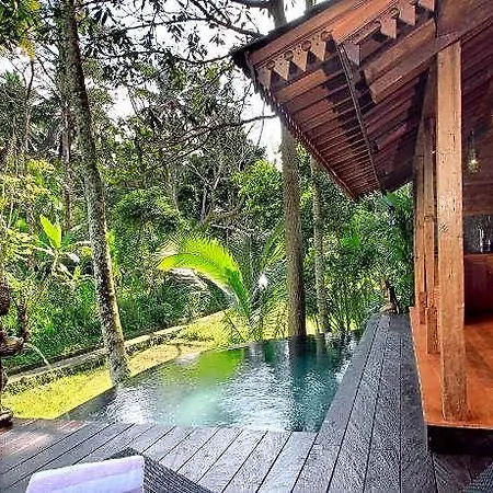 Masakali Retreat