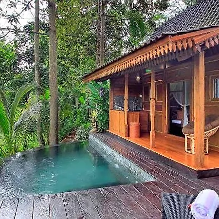 Masakali Retreat